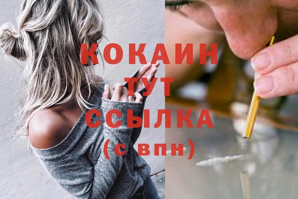 мет Каменск-Шахтинский