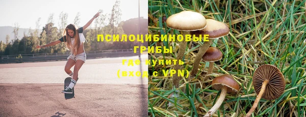герыч Каменногорск